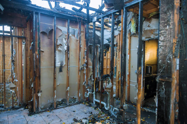 Professional Fire Damage Restoration technician working in Myakka City, FL